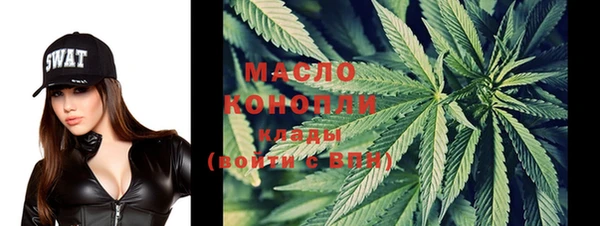 индика Краснотурьинск