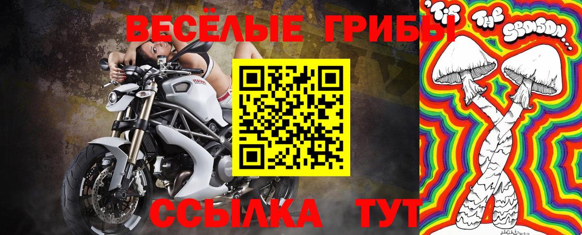 Армавир  Галлюциногенные грибы мицелий  Вход с VPN  Галлюциногенные грибы MAGIC MUSHROOMS 